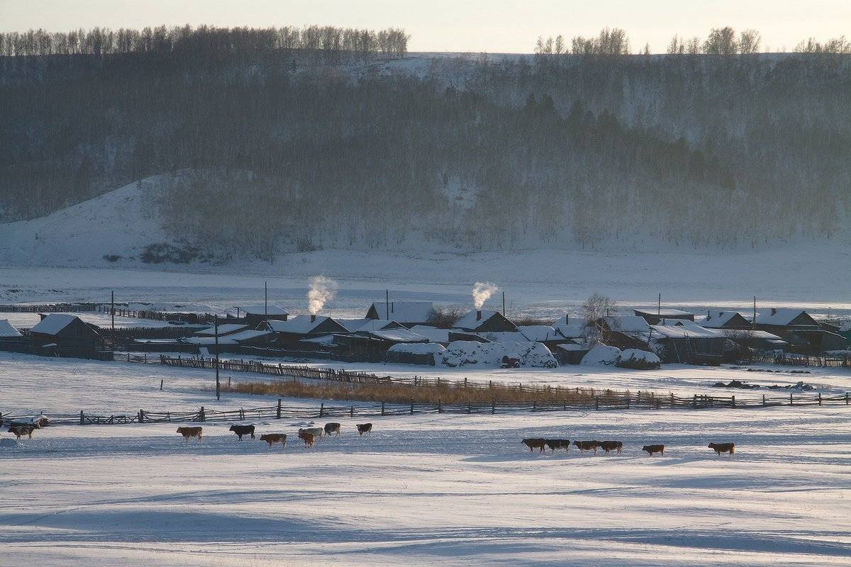 , Николай Морский