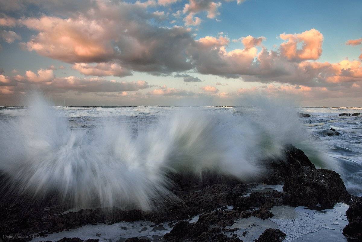 , Дмитрий Бакулин