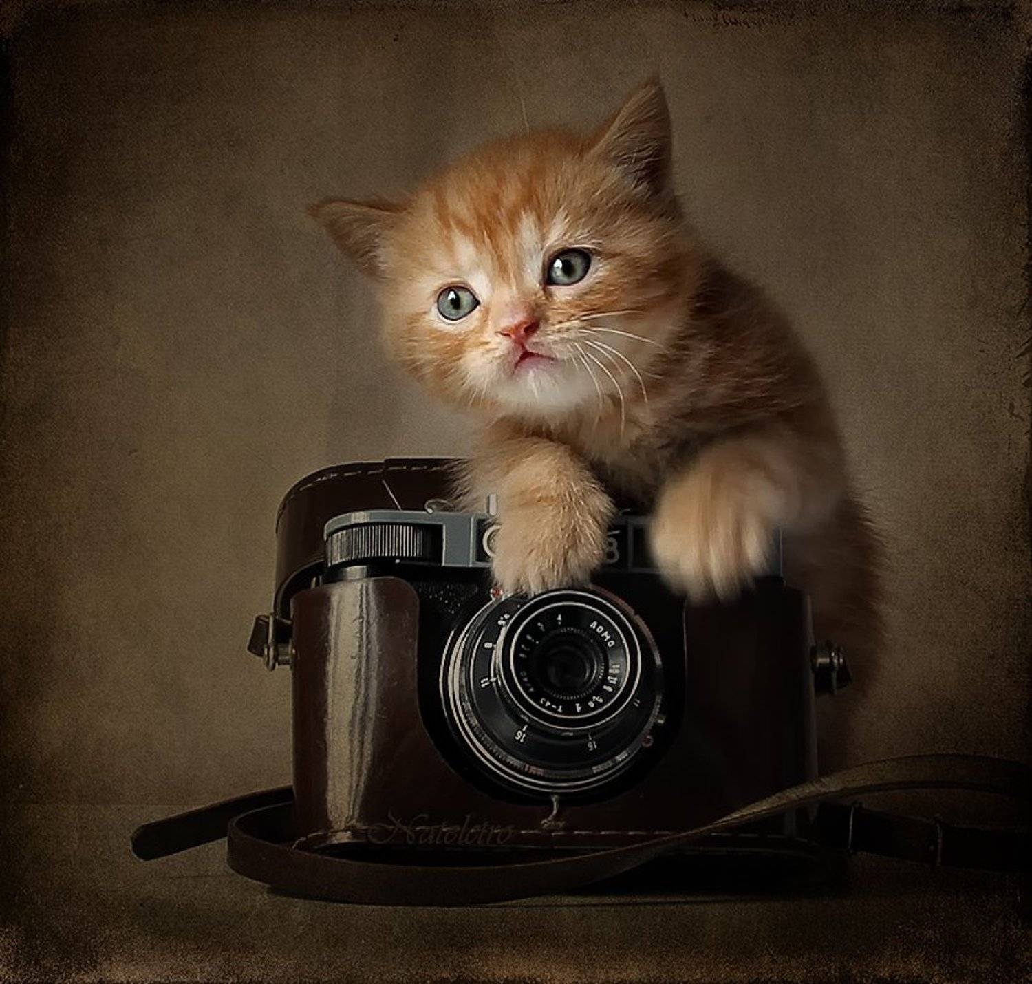 , Наталья Кузнецова (Nateletro)