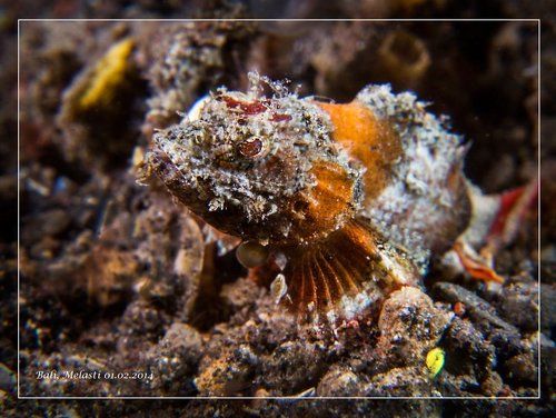 Балийские морские зарисовки