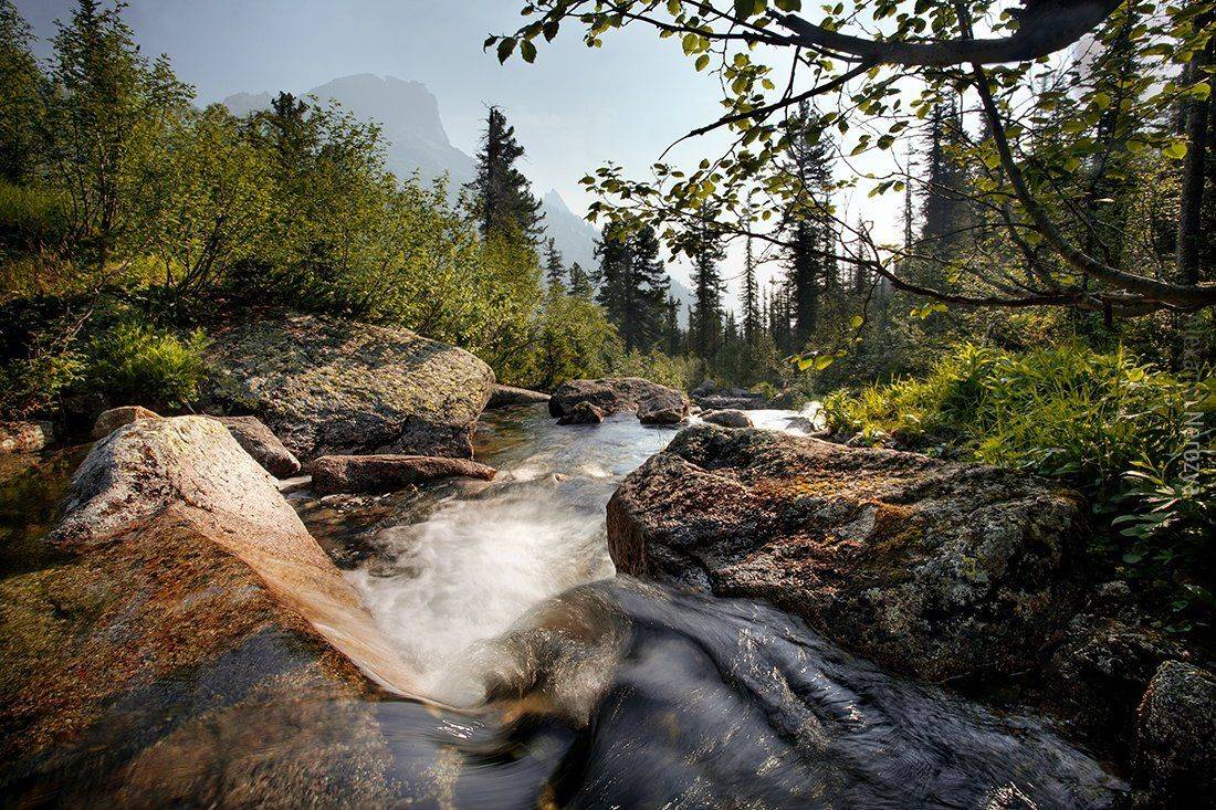 , Александр 'Horimono' Нерозя