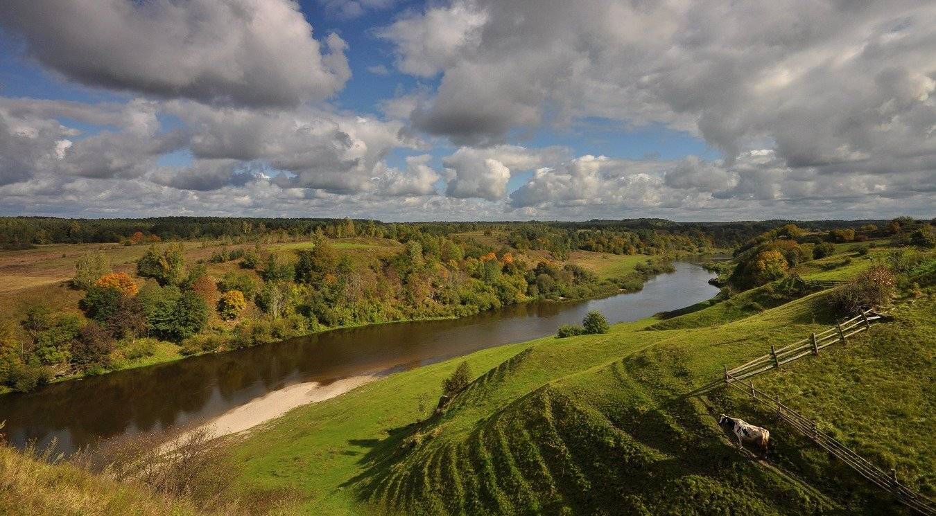 , Володимир Карчевський