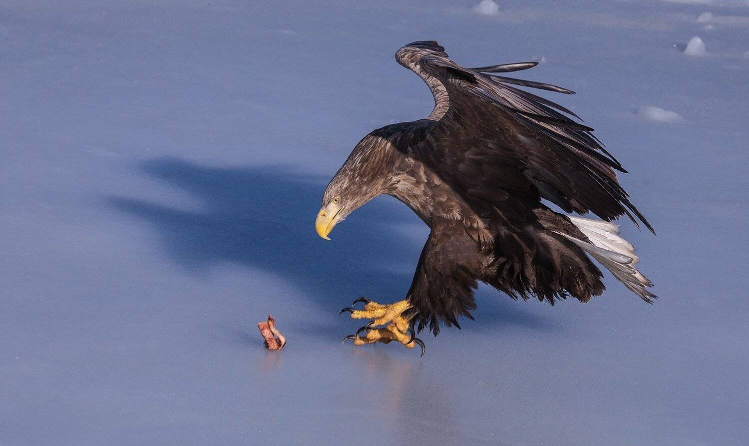 , Евгений Слободской