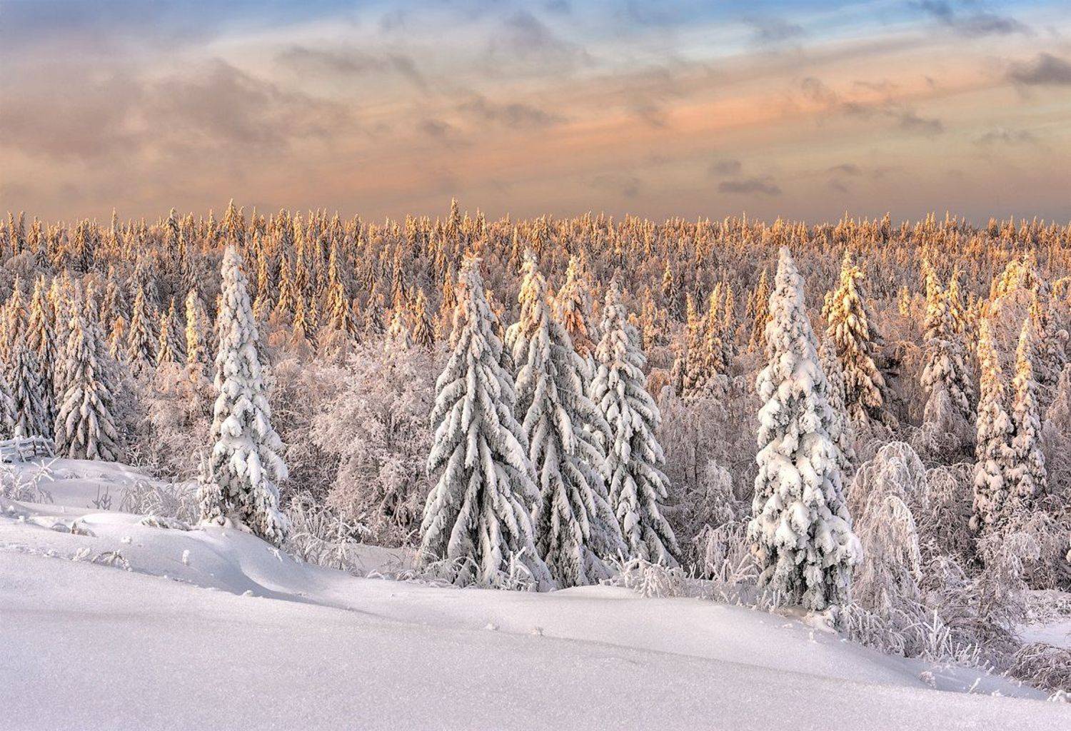 , Владимир Чуприков