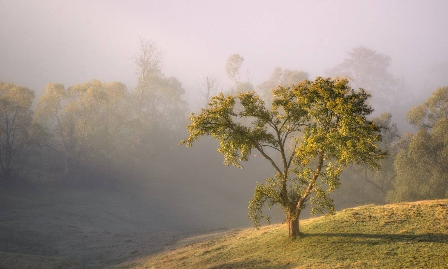 Горы, Карпаты, Свет, Пеккер Сергей