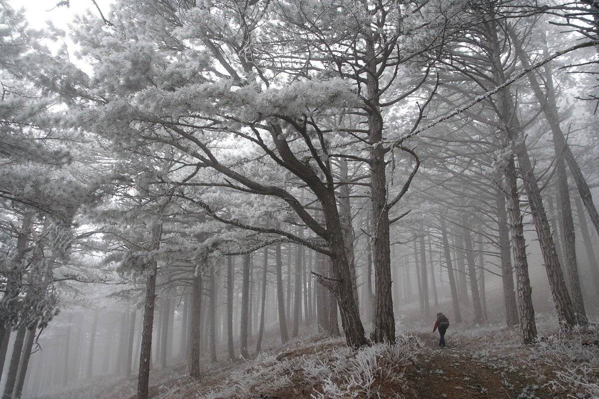 , Виталий Ра