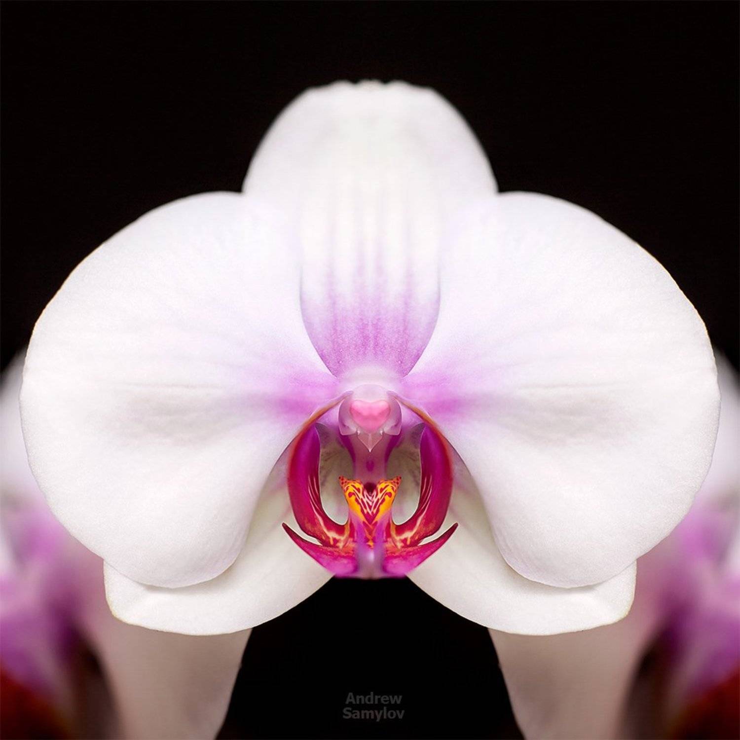 , Андрей Самылов