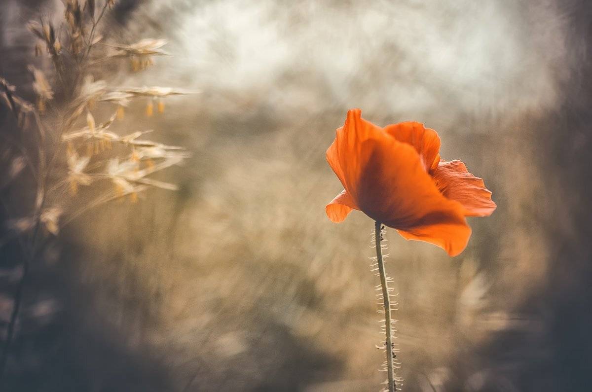 , Татьяна Аверина