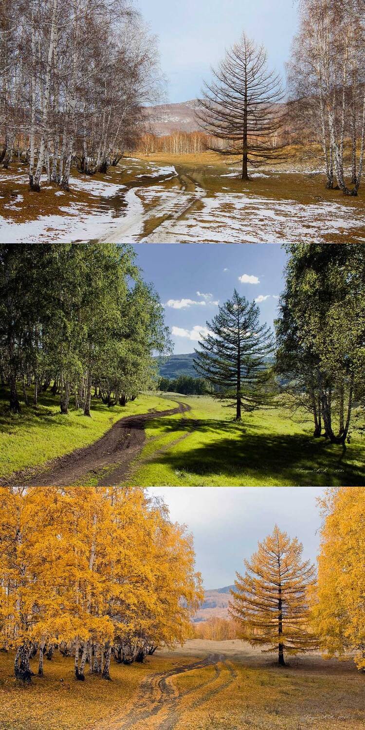 , Качурин Алексей