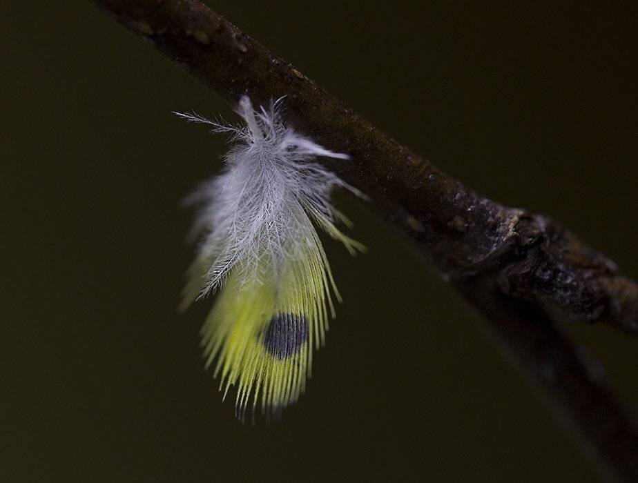 , Петрова Татьяна