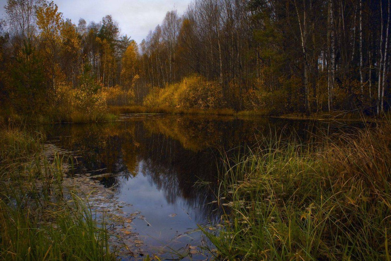 , Дмитрий Алексеев