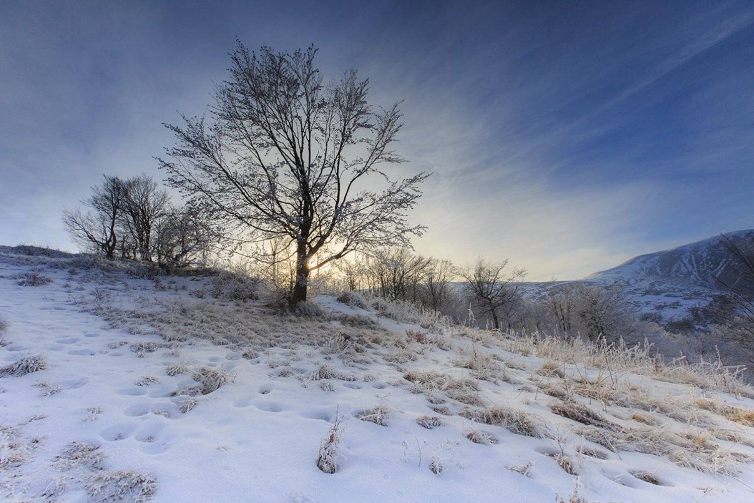 , Кубанев Роман