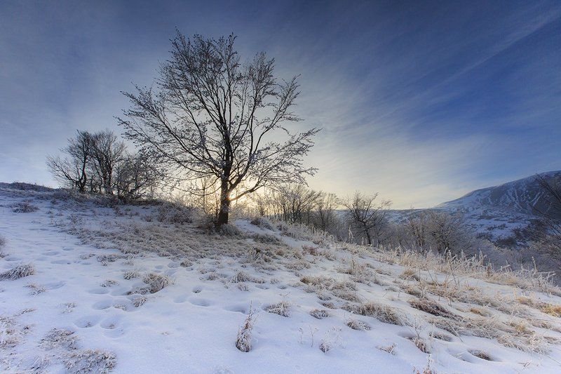 Карпаты фото превью