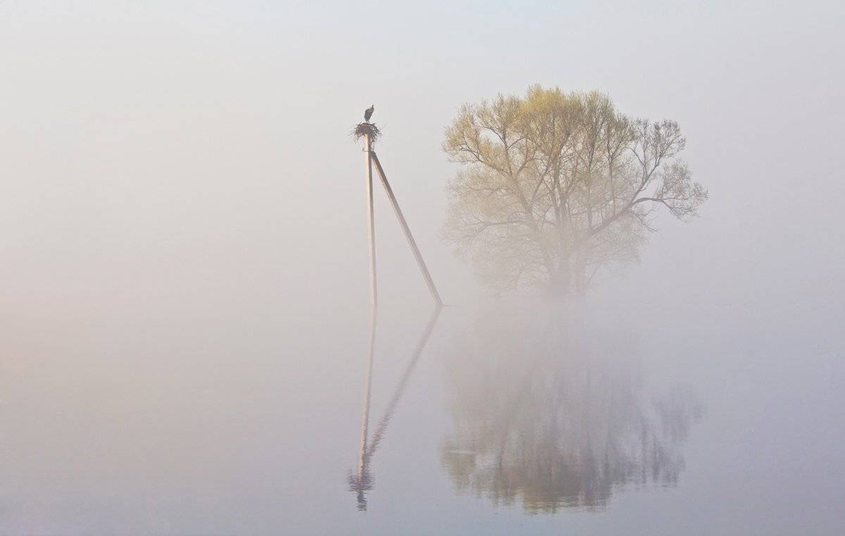 , Валерий Кондратов