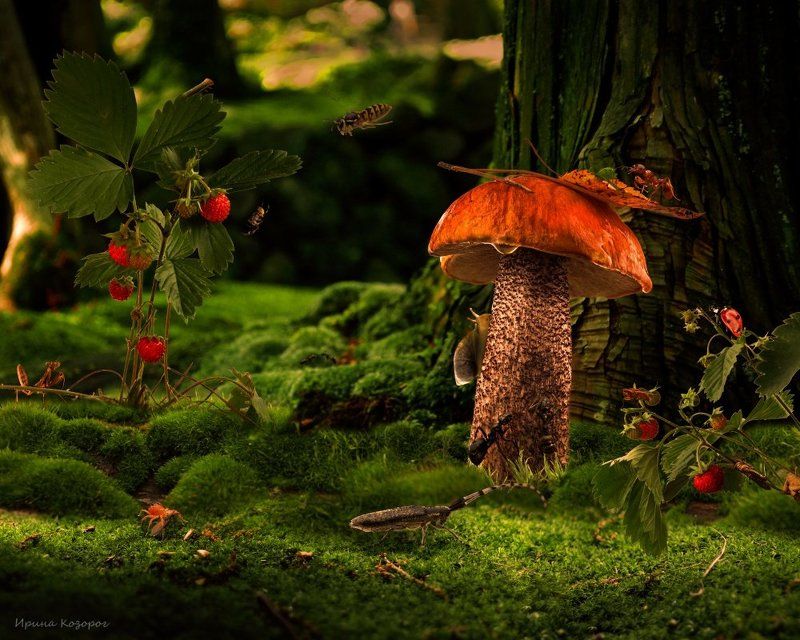 Место встречи фото превью