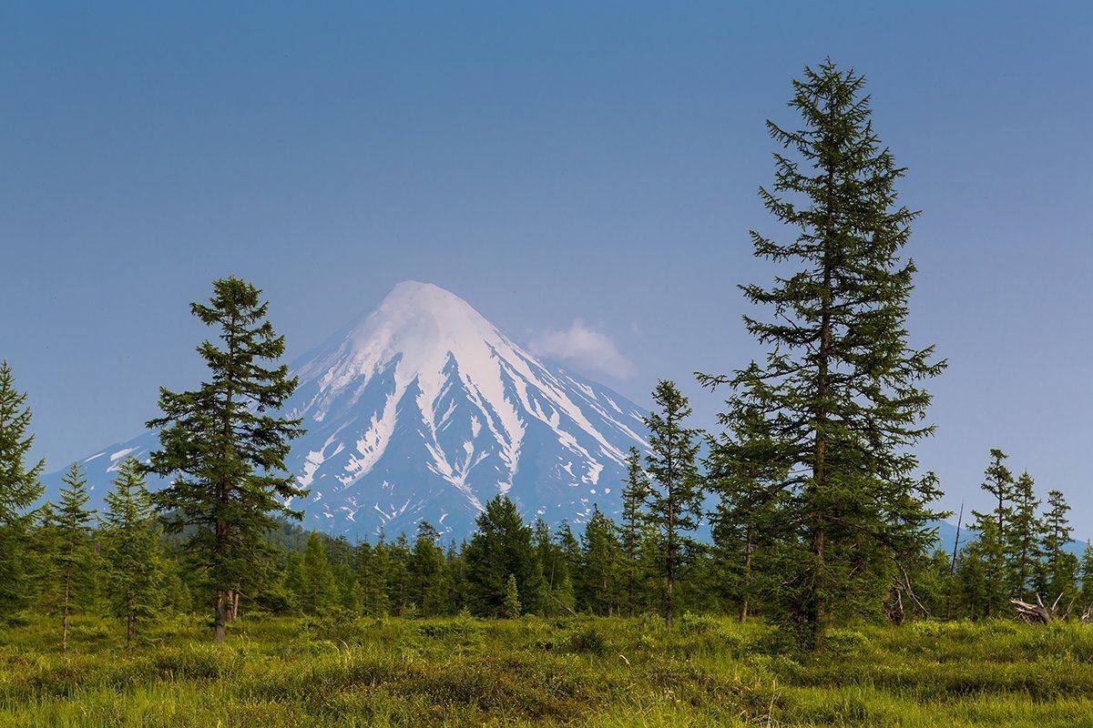 , Денис Будьков