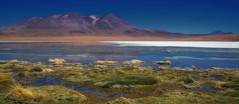 bolivia, боливия, mc Au bout du monde фото превью