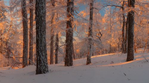 Таежная сказка в уральской глубинке