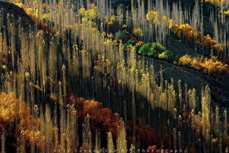 ! фото превью