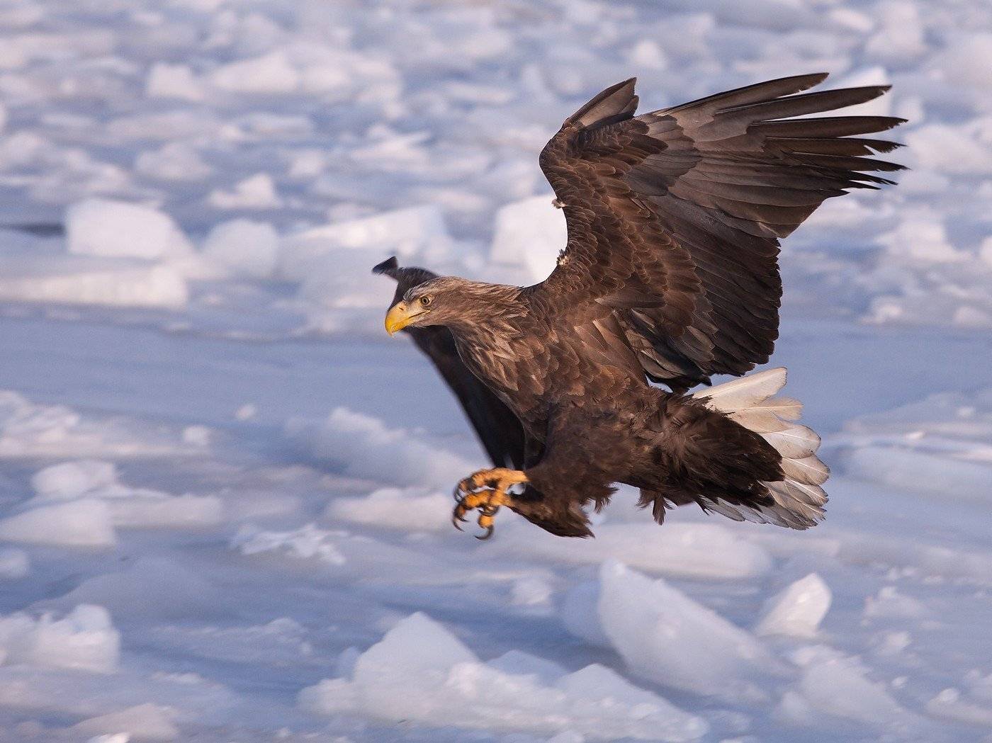 , Евгений Слободской