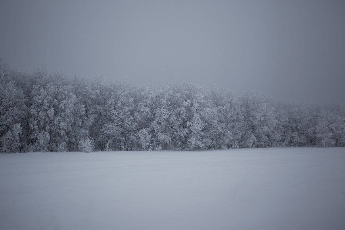 , Максим Филипов