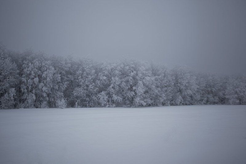 * фото превью