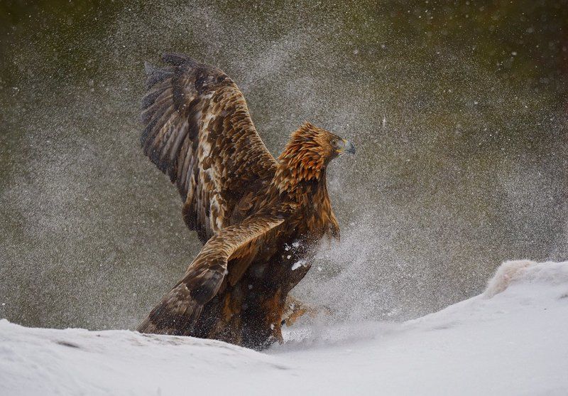 ветренно фото превью