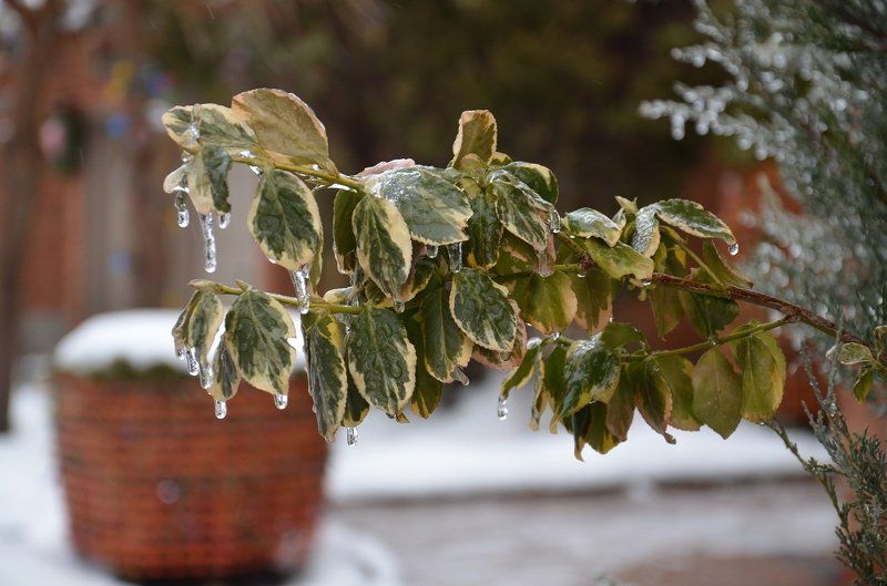 слёзы фото превью