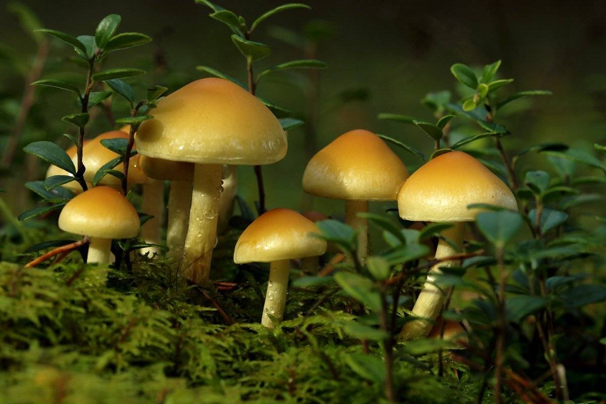 , Сергей Кузнецов