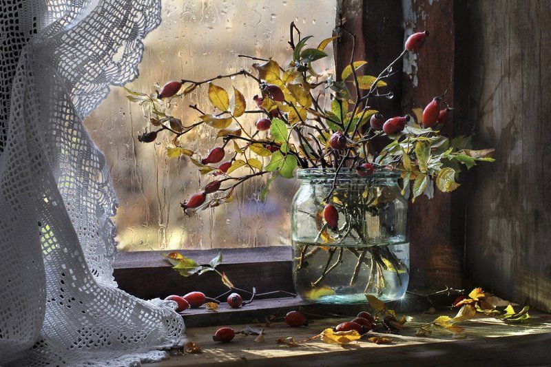 после дождя... фото превью