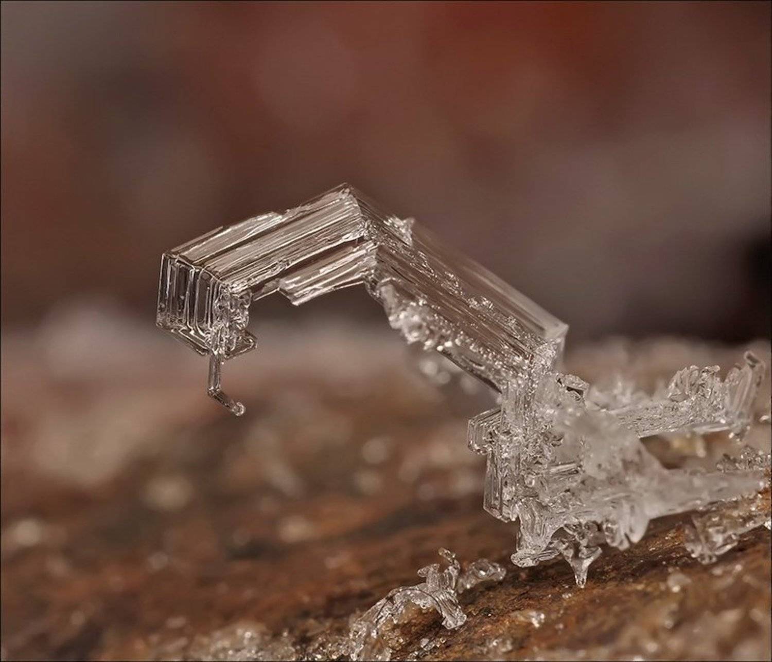 , Андрей Осокин