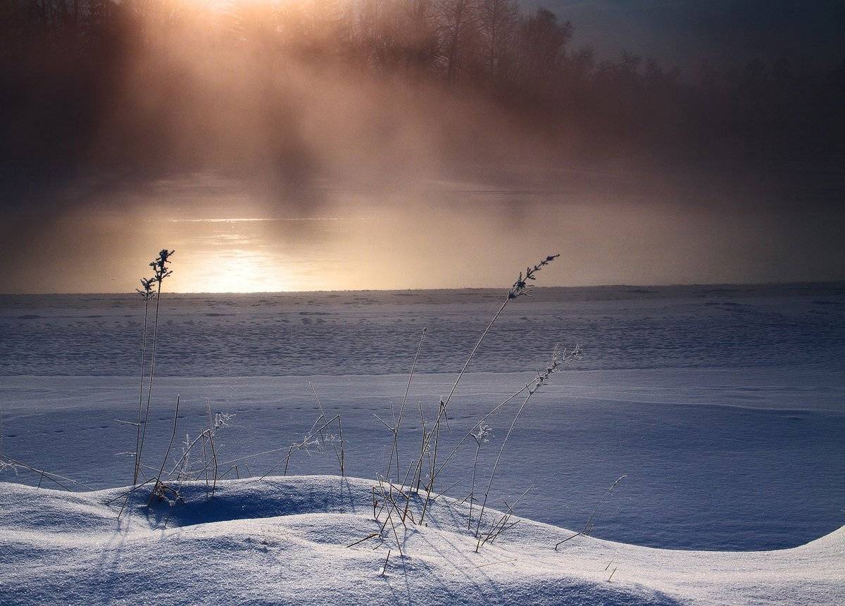 , Николай Морский