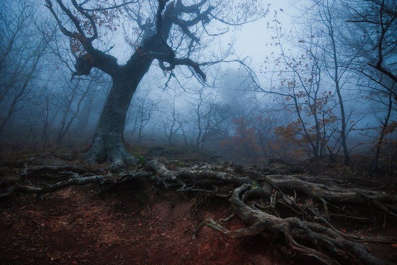 крым, демерджи Долина Привидений фото превью