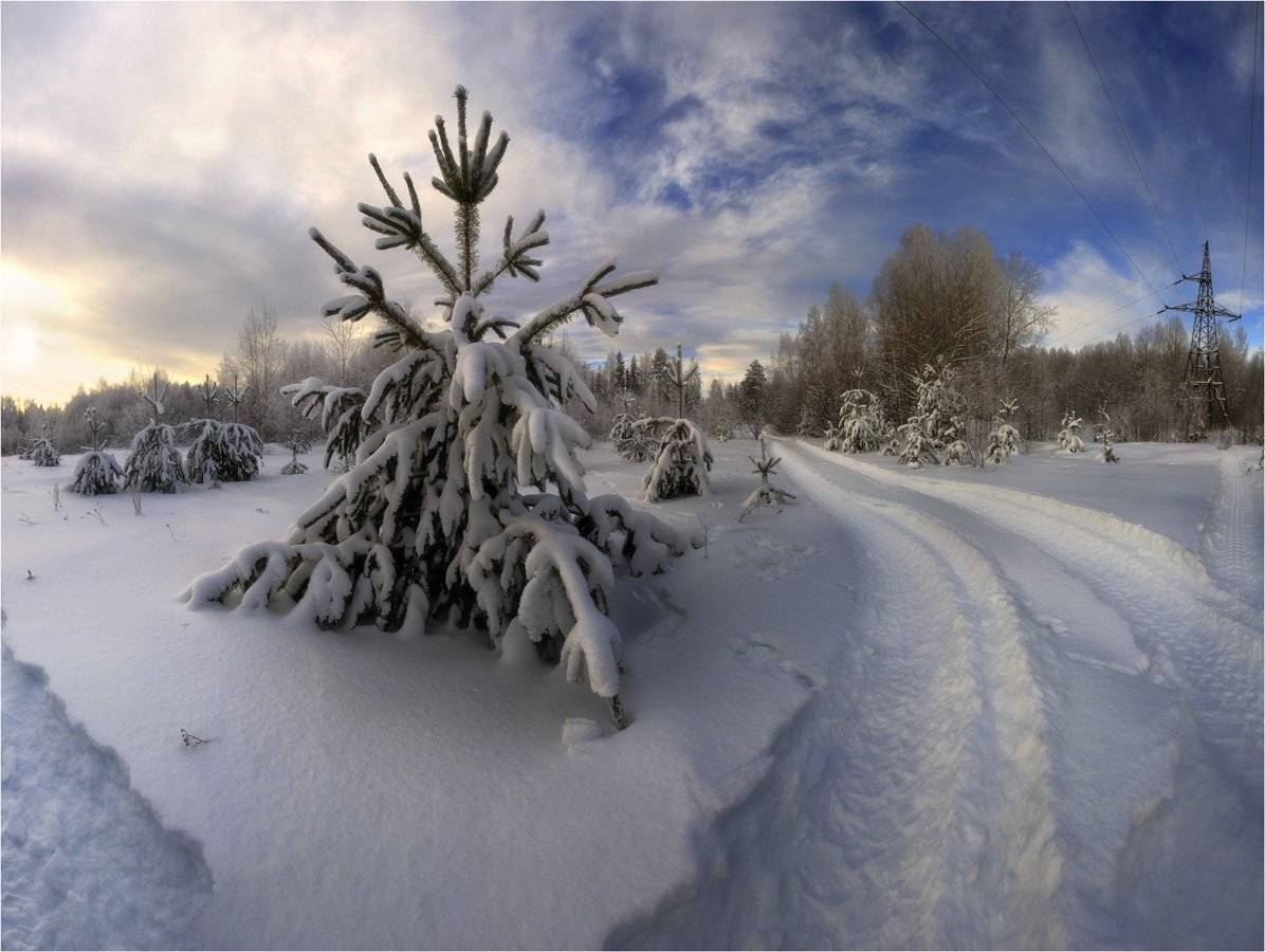 , Анатолий Гулин