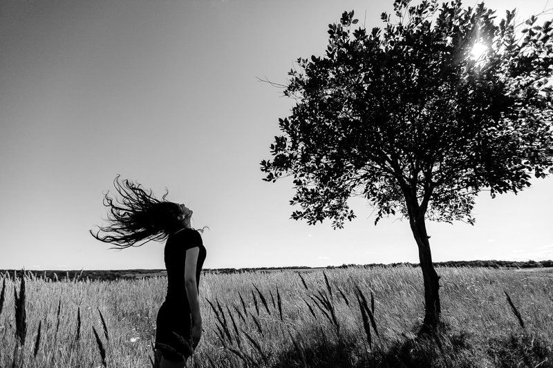 Ветер, Волосы, Девушка, Дерево, Солнце summer sun фото превью