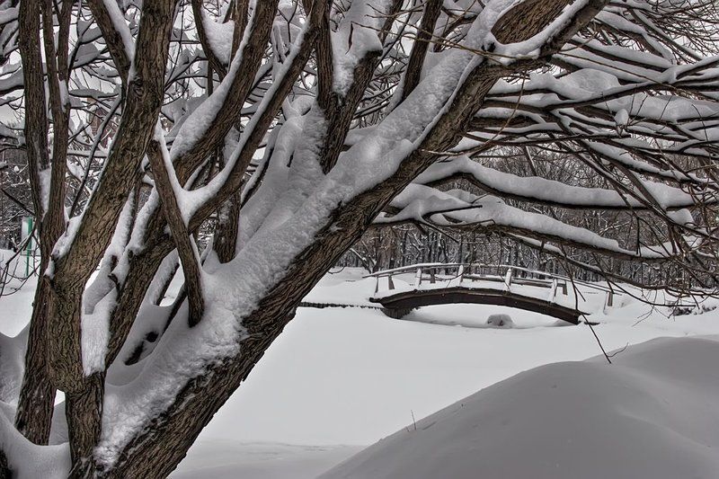 В московских парках фото превью