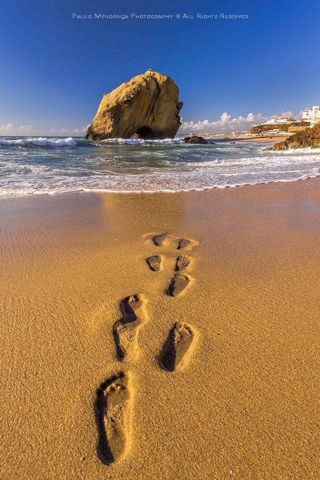 , Paulo Mendon&ccedil;a