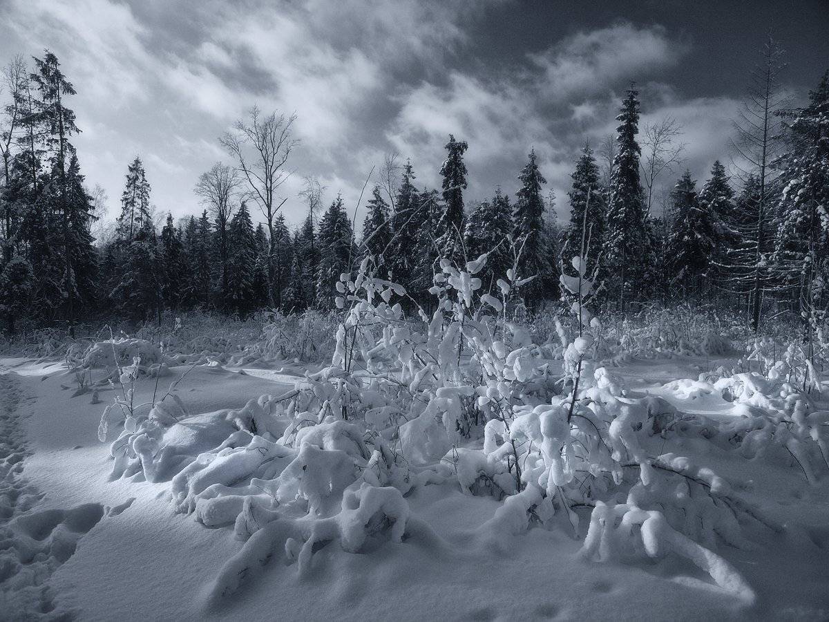 , Владимир Перепечаев