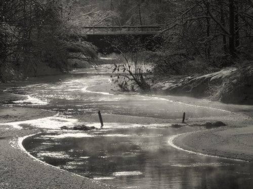 Солнечная речка
