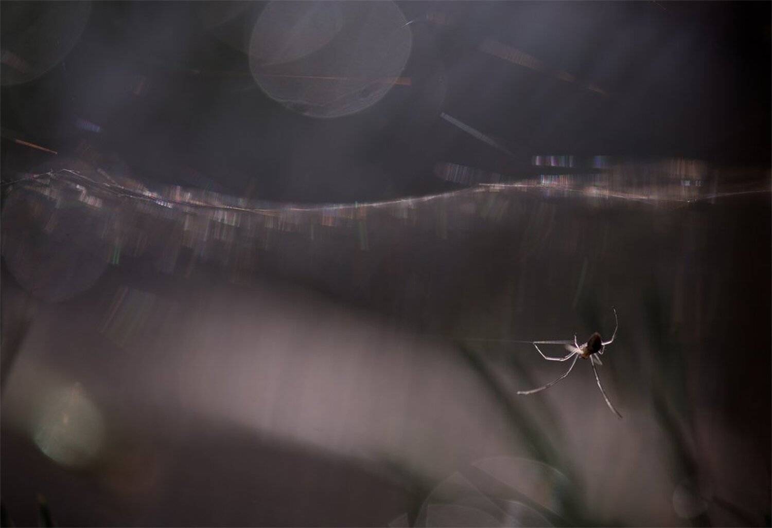 , Геннадий Мещеряков