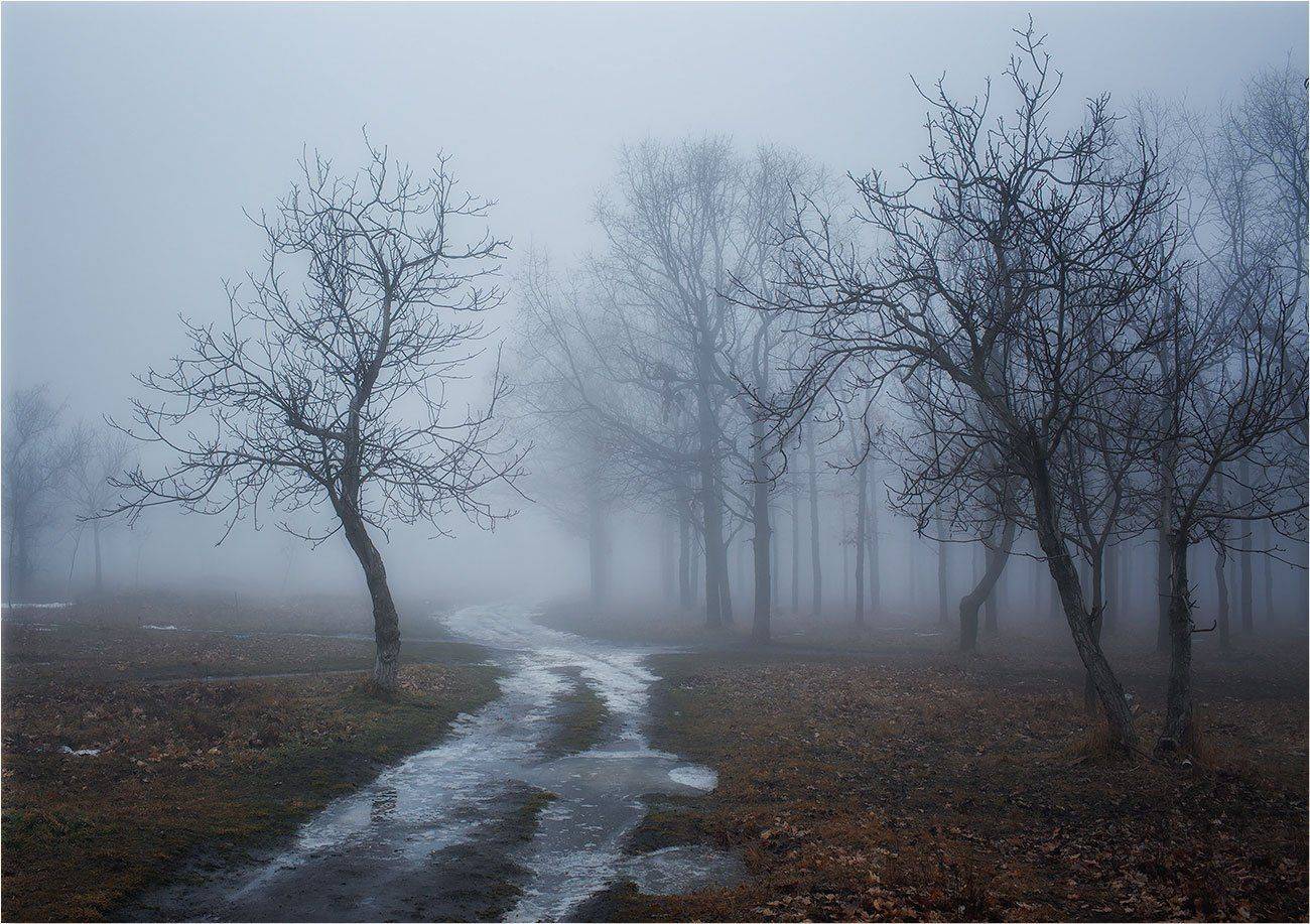 , Сергей Дымченко