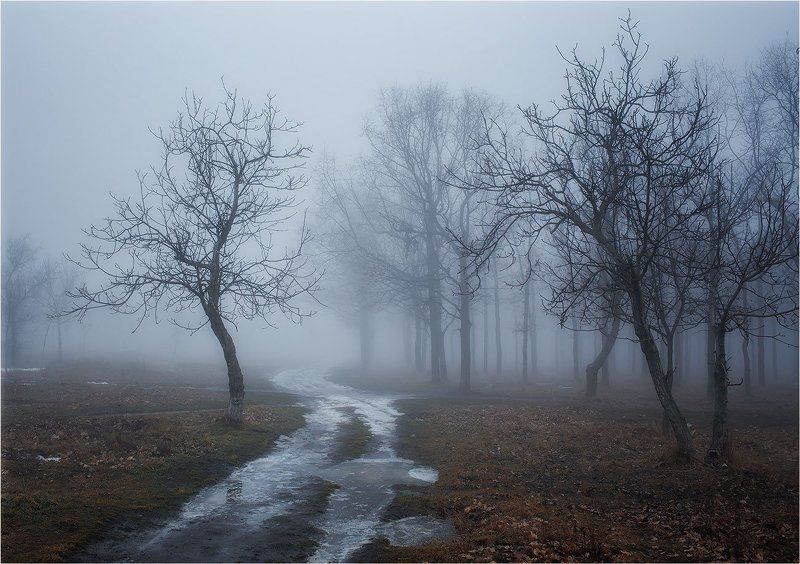 фото фото превью