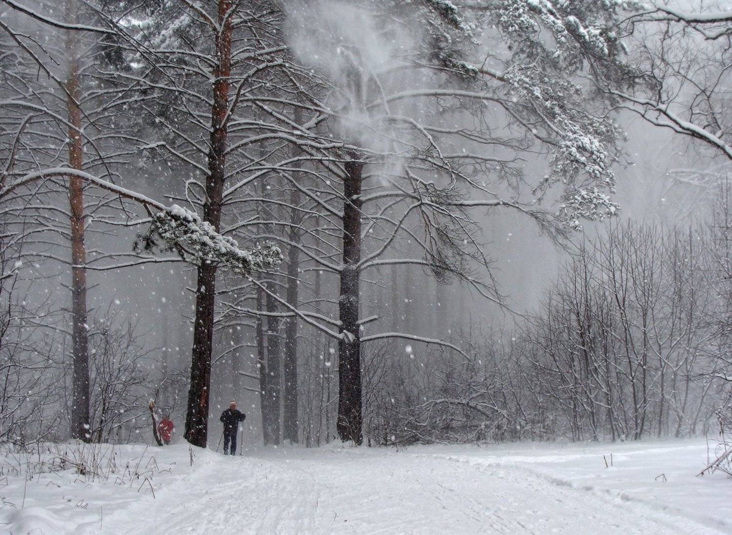 снег, метель, зима, Галина Хвостенко