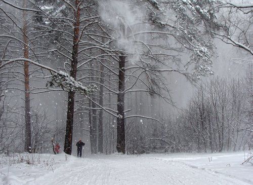 Эх, снег-снежок, белая метелица!