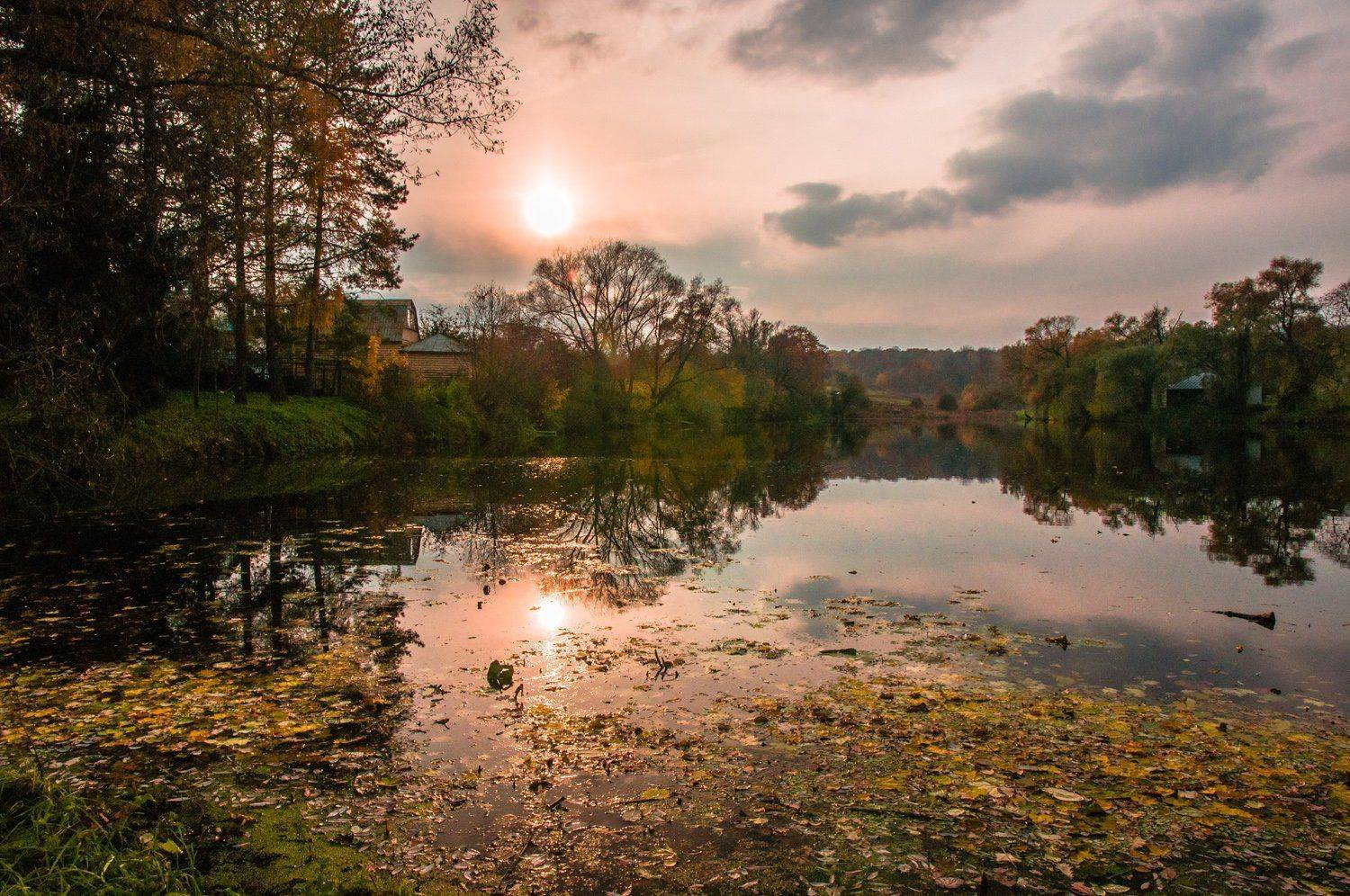 , Анатолий Зверев