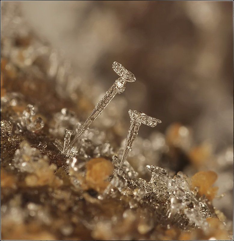 Не открытые тайны... фото превью