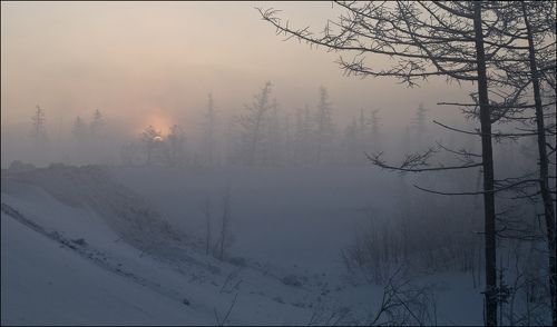 Мороз и солнце!