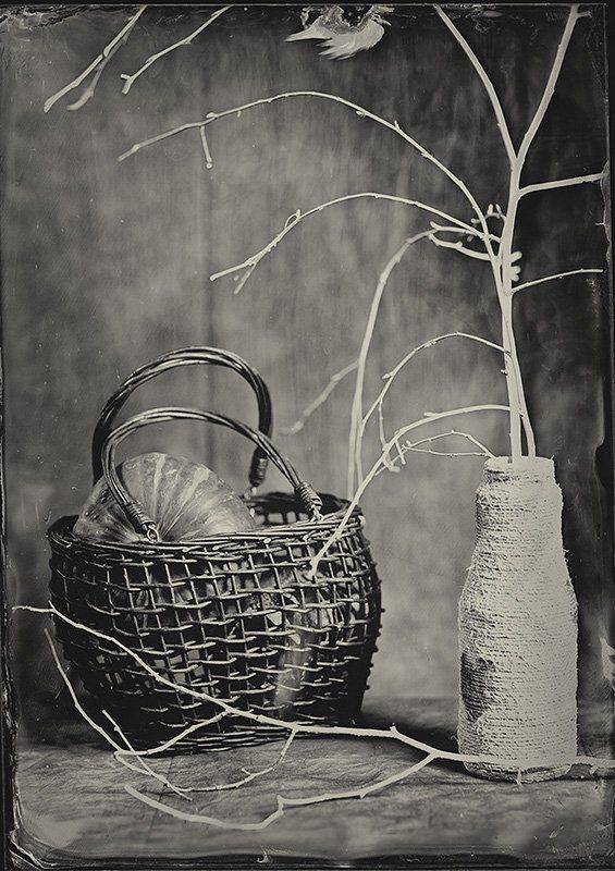 [16] фото превью