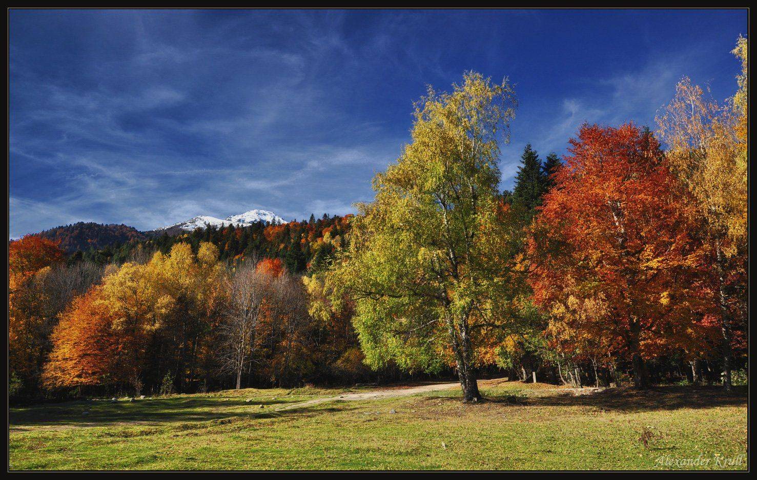 кавказ, кчр, осень, лес, Александр Круль