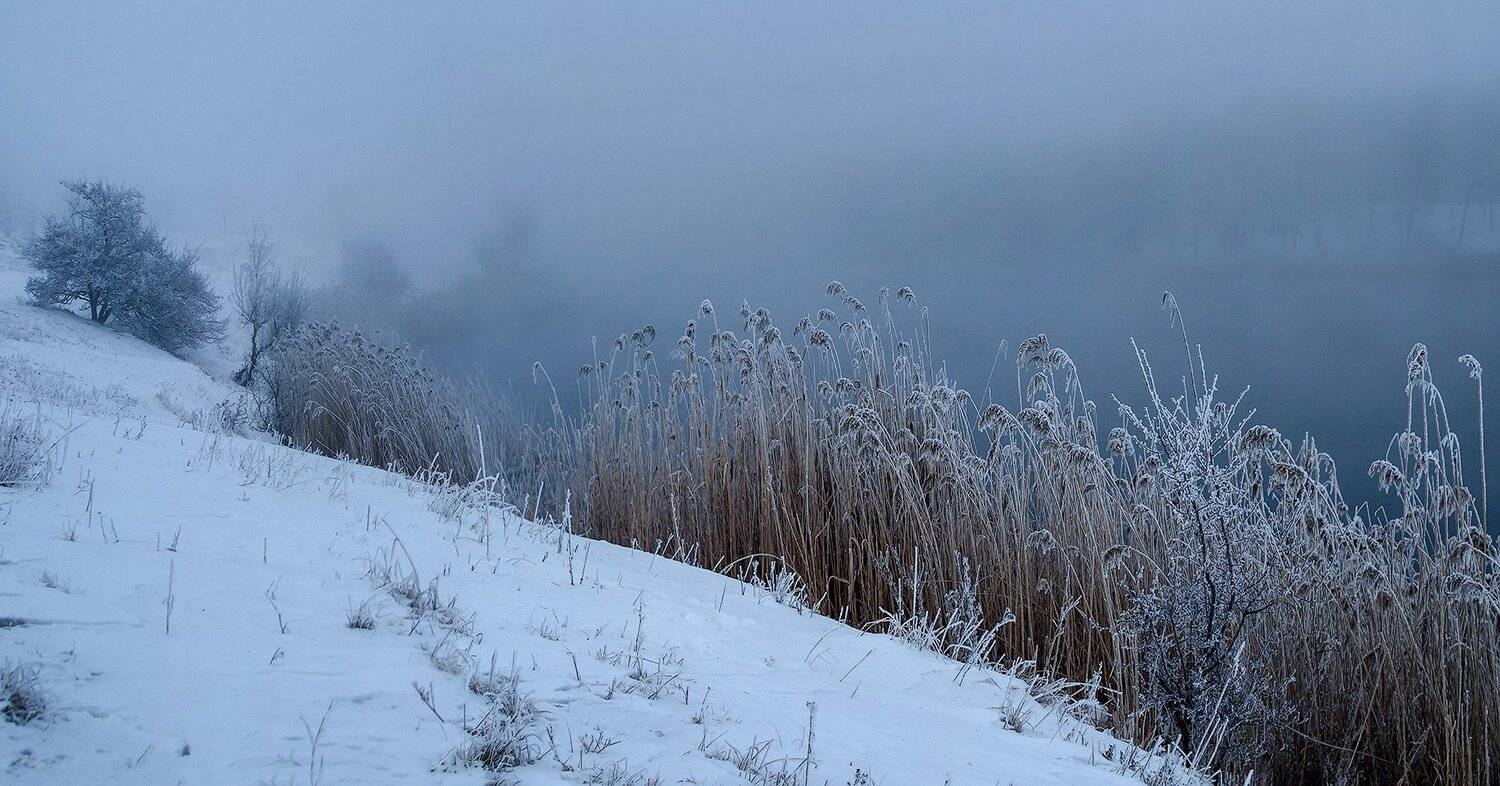 , Игорь Мелекесцев